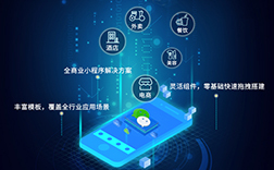 小程序開發(fā)多少錢一個(gè)，定制與模板的差價(jià)是多少