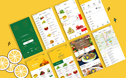 鄭州蔬菜app，蔬菜app制作的要點(diǎn)是什么呢